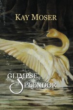 GLIMPSE OF SPLENDOR By Kay Moser *Excellent Condition*