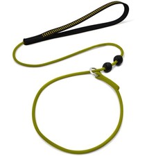 BeauGo Slip Leads for Dogs  Dog Training Leash  2-in-1 Slip Collar Dog Tra...