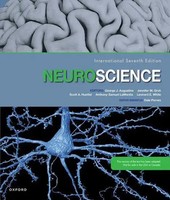 Dale Purves (U. A.) | Neuroscience | Taschenbuch | Englisch (2023)