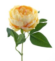 Artplants Deko Pfingstrose Talfy, Gelb, 35Cm