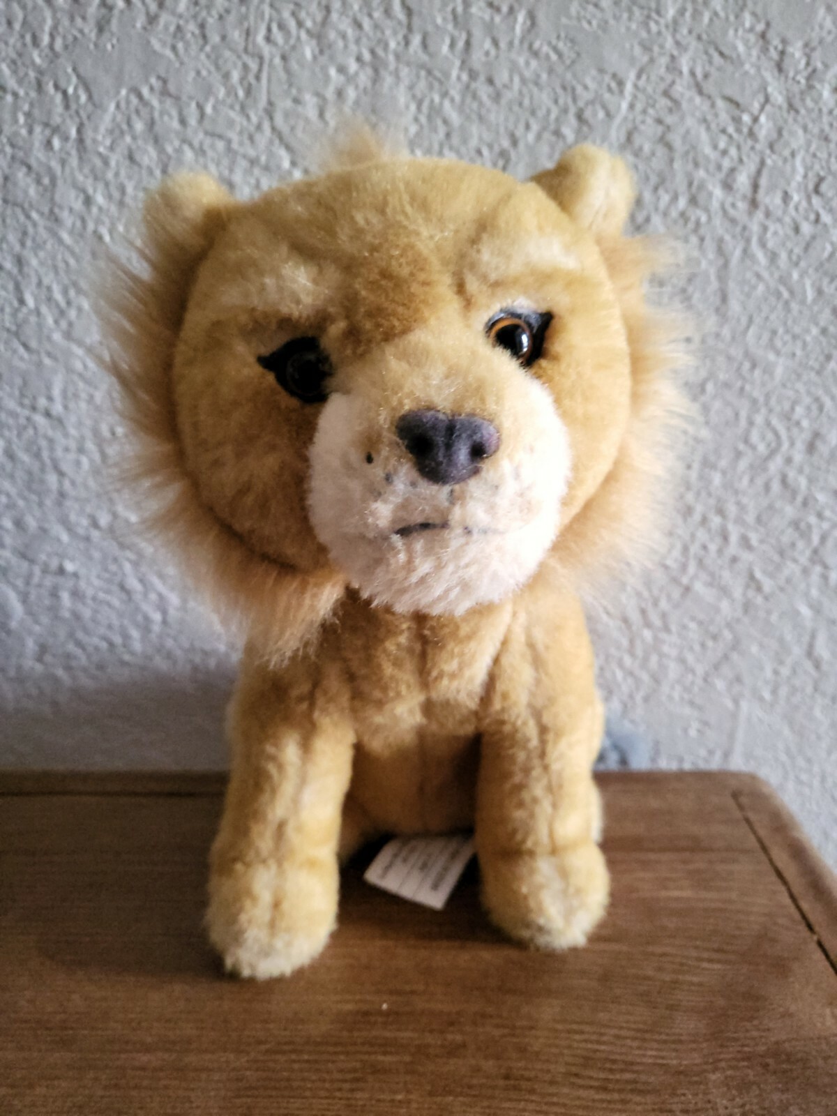 teddy simba