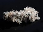 Foto 6 di 10