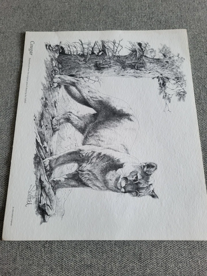 Saltiel like Rusty Phelps game animals on Paper Drawing original prints elk deer - image 2 of 4