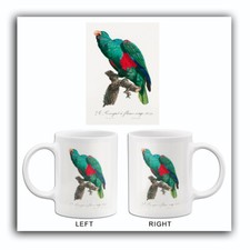 Eclectus Parrot, Eclectus Roratus #4 - 1800's - Francois Levaillant Bird Mug