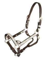 Miniature Horse Show Halter - Sz Medium- Dark Oil - Royal King - Matching Lead