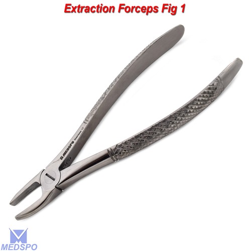 Incisivos de extracción dental pinzas de raíz instrumentos quirúrgicos de extracción CE - Imagen 2 de 10