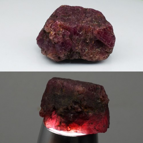 💎 Jumbo! 113.61ct Rough Purplish Red Ruby - Unheated, Tanzania Gemstone