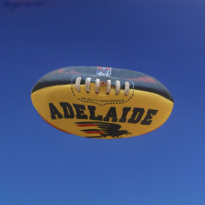 Collectible series of Sherrin Precision Australian Rules AFL footballs, size 5.