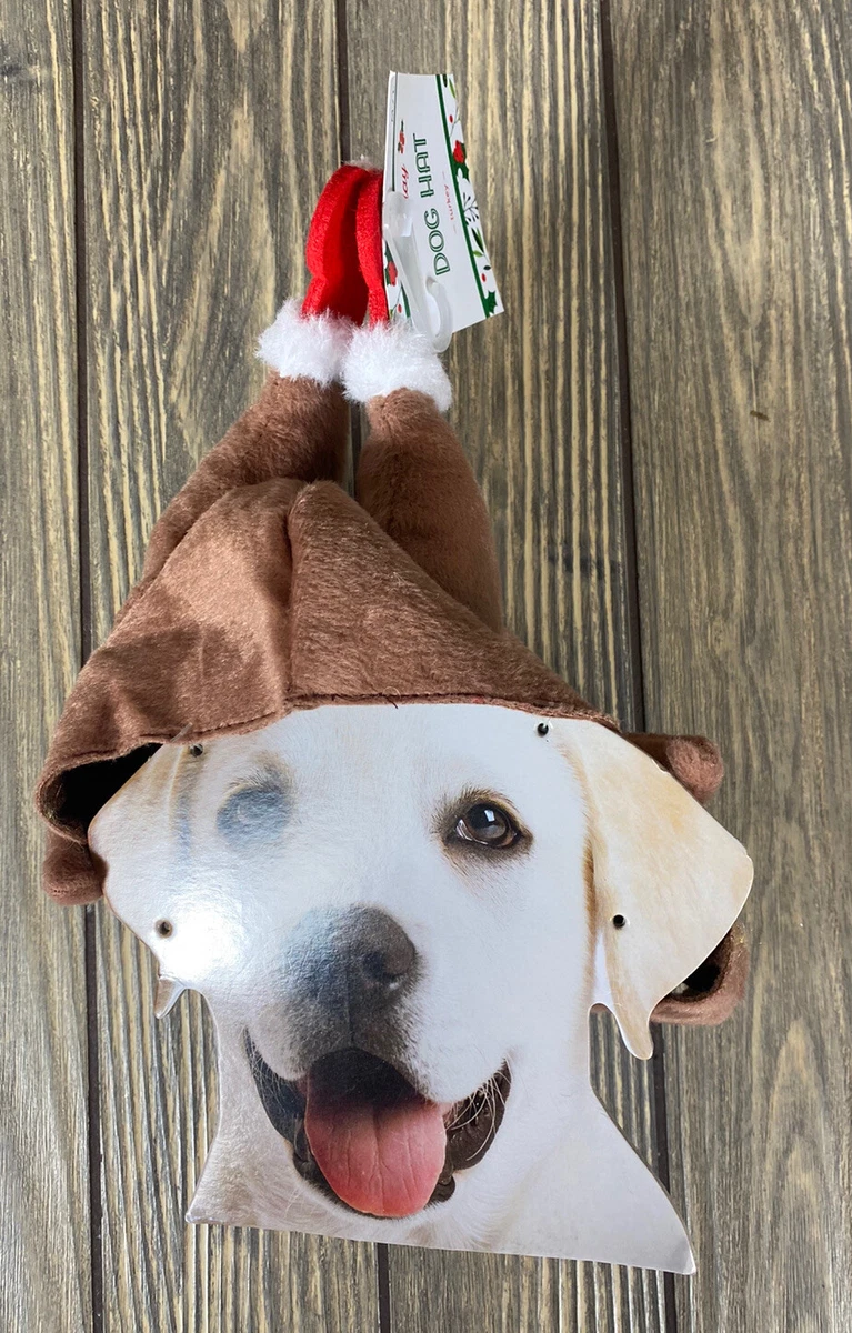 Turkey dog best sale hat