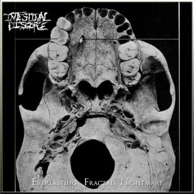 INTESTINAL DISGORGE - Everlasting Fractal Nightmare CD NEW, Gore/Grind