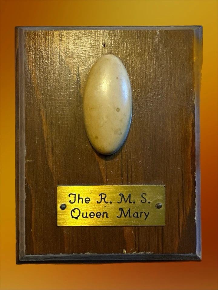 Auténtica placa de escudo con ojo de cerradura The RMS Queen Mary (1936-1967) usada en excelente estado Foto 2 de 3