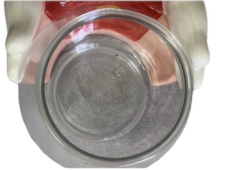 Vintage Disney Pinocchio & Cleo Cookie Jar – Treasure Craft USA – Rare