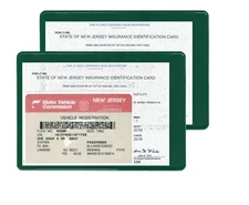 2 (two) Auto car Insurance Registration ID Card Holders Holder Green
