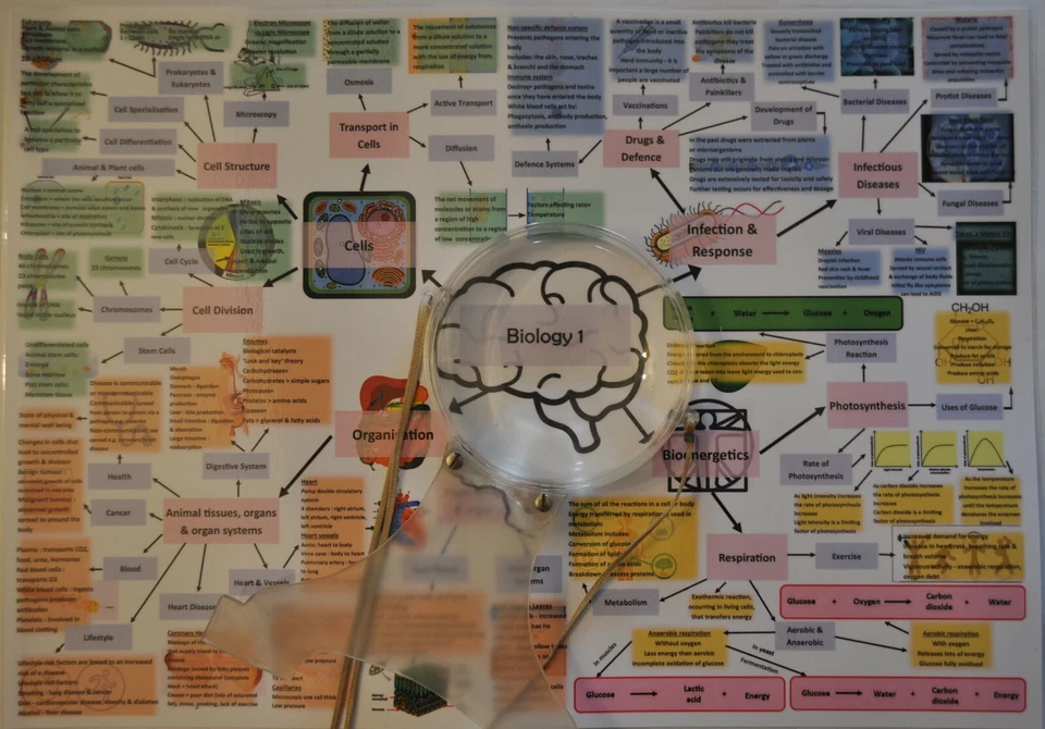 AQA GCSE Combined Science Trilogy Revision Mind Maps Laminated A3  - Image 2 of 4
