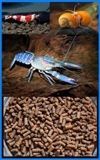 FRESHWATER SHRIMP,SNAIL FOOD,CRAYFISH GROWTH BITS,Snails,Bottom Feeders,142S