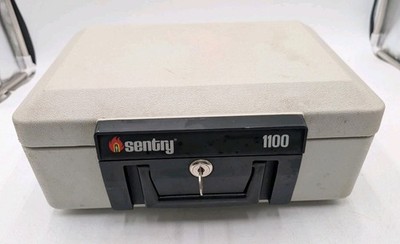 Sentry Safe 1100 Fire Proof Safe with Key Valuables Portable Lock Box - 1 Key