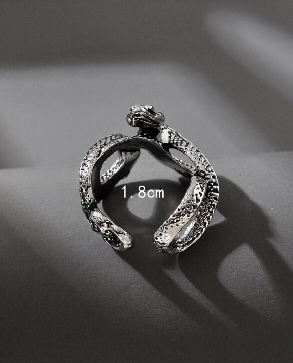 FaithHeart Orecchini Uomo Donna Serpente Cobra Cerchio Pendente - Acciaio Inox Argento, Regalo Rapper HipHop