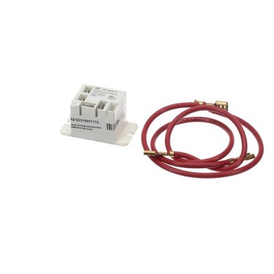 REPL,KIT,RELAY,SPST,30,240,24VAC,WIRES 1017206 - Genuine OEM Replacement Part