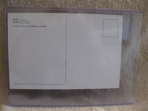 WWE Diva Torrie Wilson Post Card Postcard WWF WrestleMania RAW Wrestler Shop.Com - Picture 2 of 2