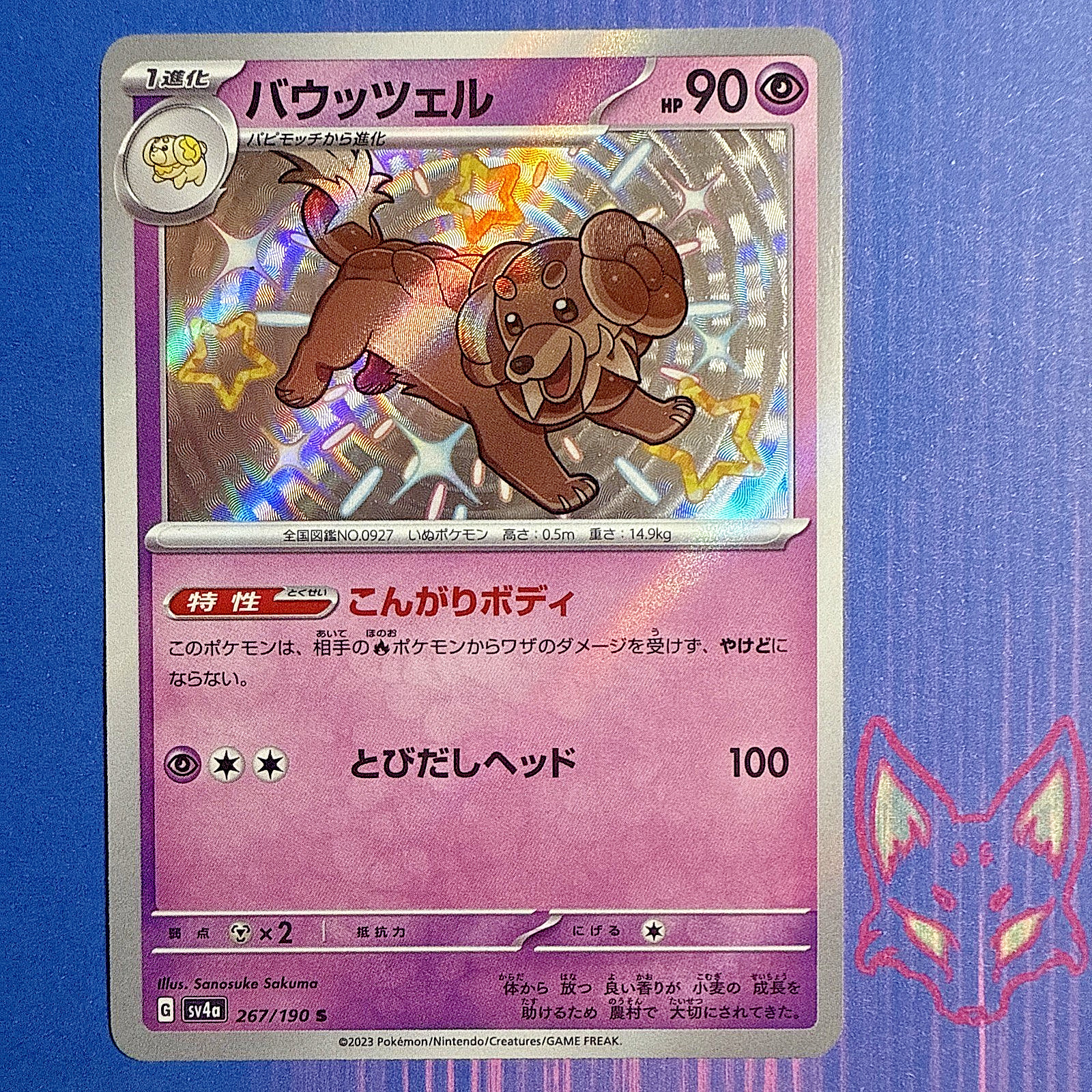 Shiny Treasure - NM - Dachsbun S 267/190 Pokemon Japanese (US Seller)