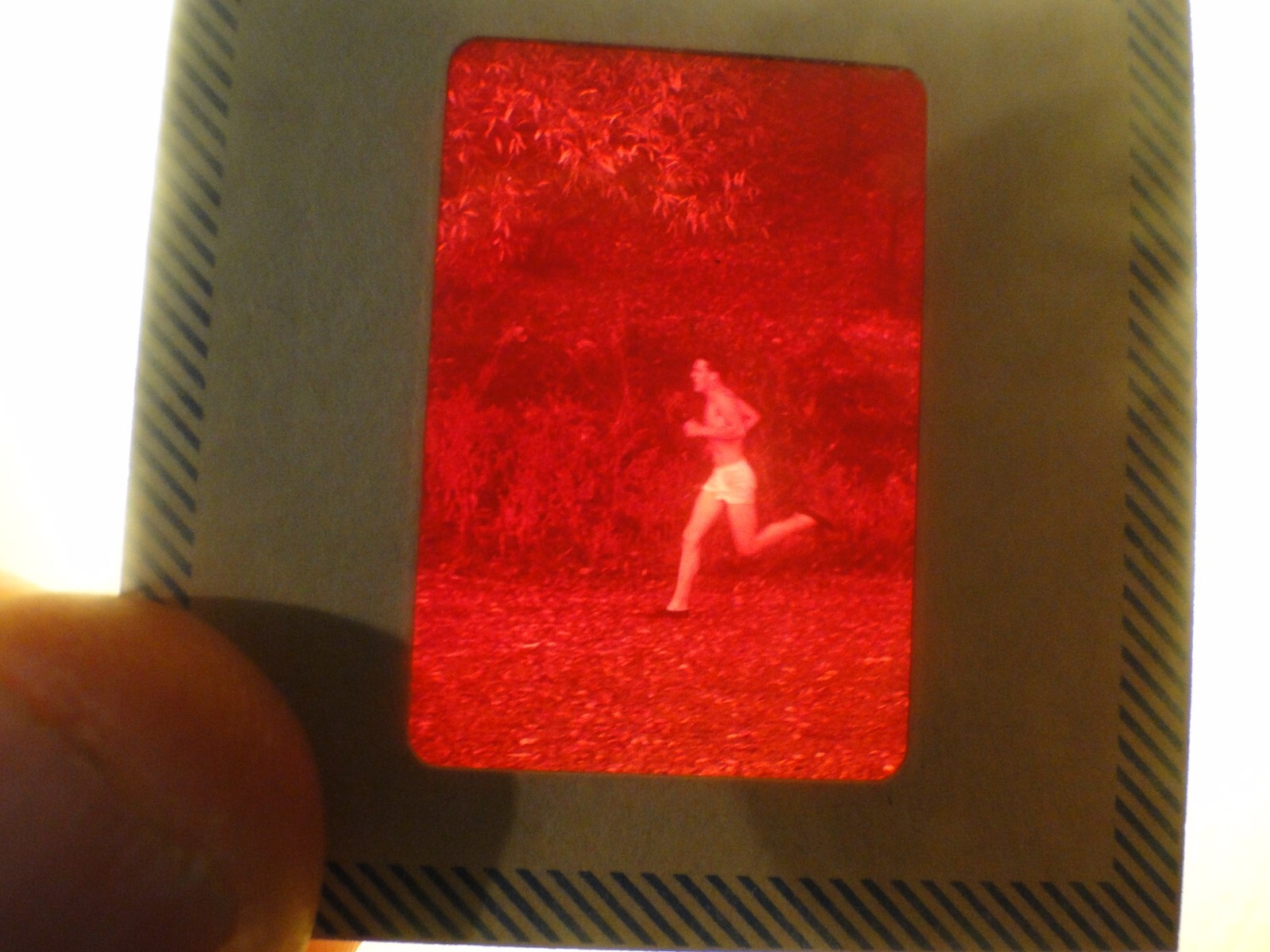 Picture 1 of 2