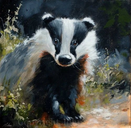 BADGER PORTRAIT FINE ART ORIGINAL PAINTING 30 x 30 cm by JOHN SILVER BA