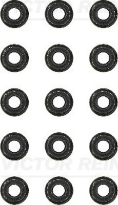 Dichtungssatz Ventilschaft VICTOR REINZ 12-31306-10 für SKODA VW AUDI 3B6 AMX B5