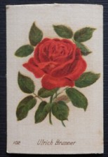 ULRICH BRUNNER British Roses by British American Tobacco 1924 SILK
