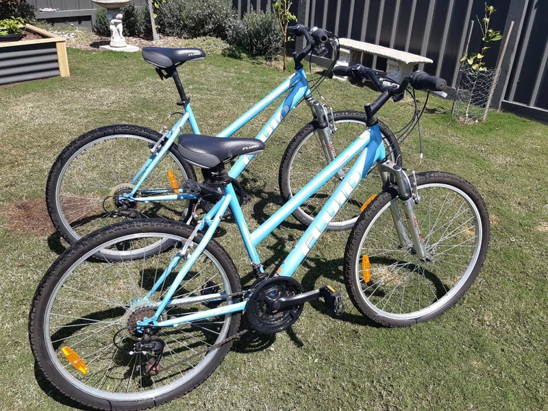 anaconda ladies bike