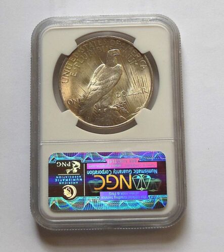 Peace Starter Set MS64 NGC Peace Silver Dollar $1 - 1922, 1923, 1924, 1925 - Picture 5 of 11