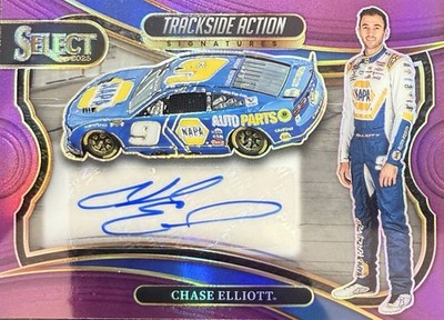2025 Panini Select NASCAR Trackside Action Purple Chase Elliott AUTO #31/49  