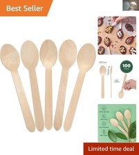 100 Eco-Friendly Disposable Wooden Spoons - Perfect for Tasting Sampling
