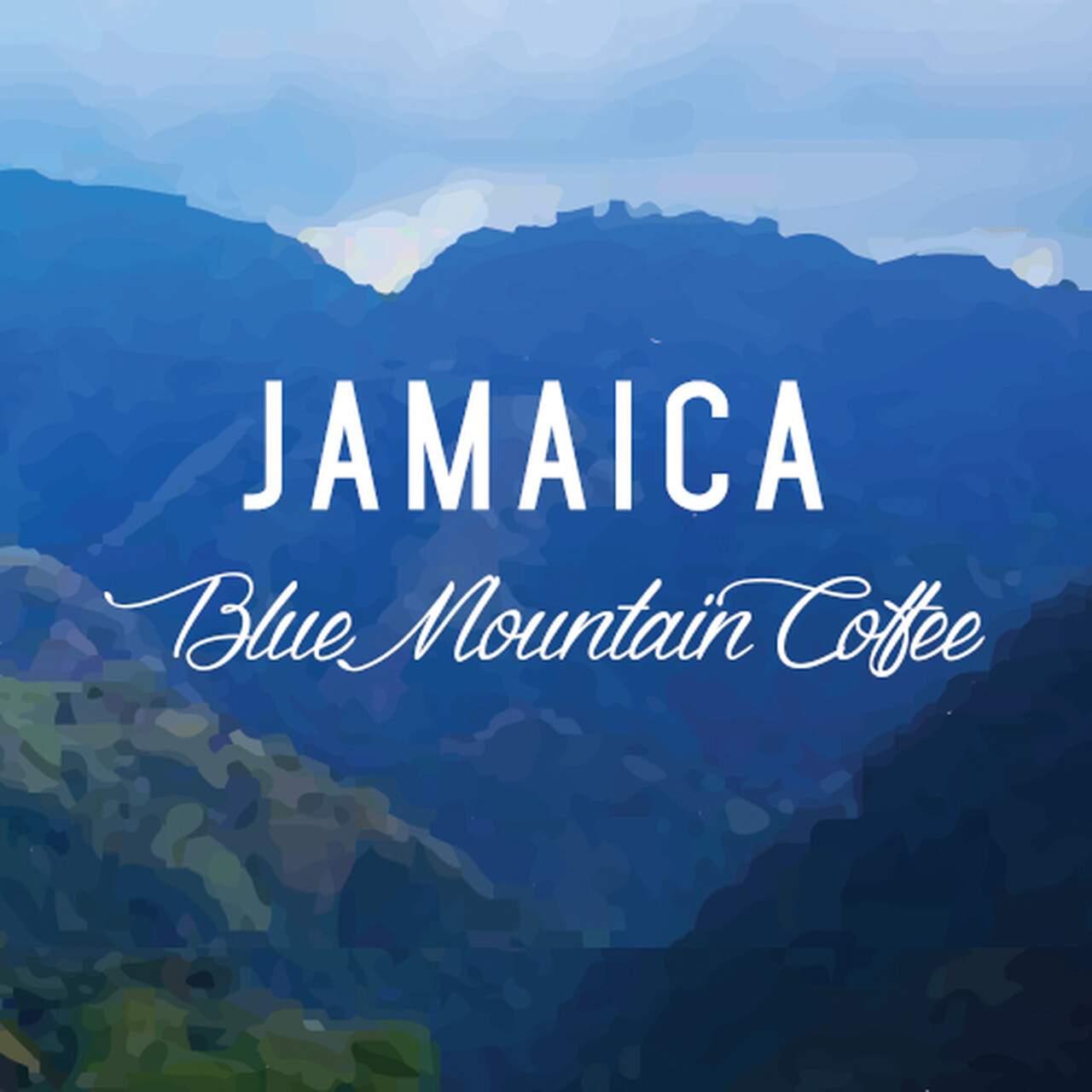 JAMAICAN BLUE MOUNTAIN COFFEE BEANS PEABERRY MEDIUM ROASTED 4 - 1 POUND BAGS