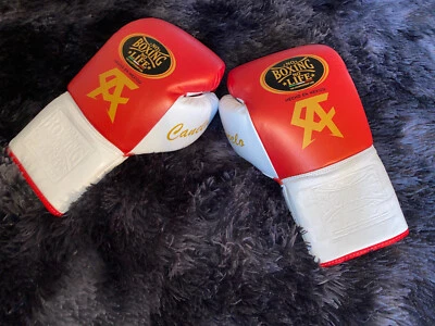 Canelo Boxing Gloves 16 oz (No Boxing No Life)