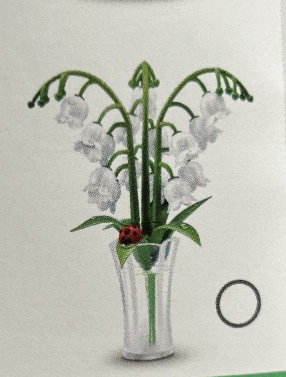 lily_Sa出品！ 81YiRmNQsIL._AC_UF350,