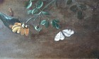 Bild 8 von 12