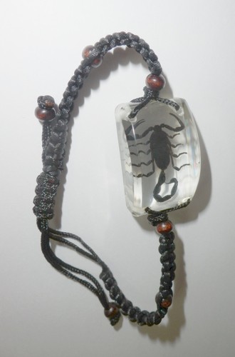 Insect Lucite Bracelet Black Scorpion Specimen Clear SL15 - Picture 3 of 7