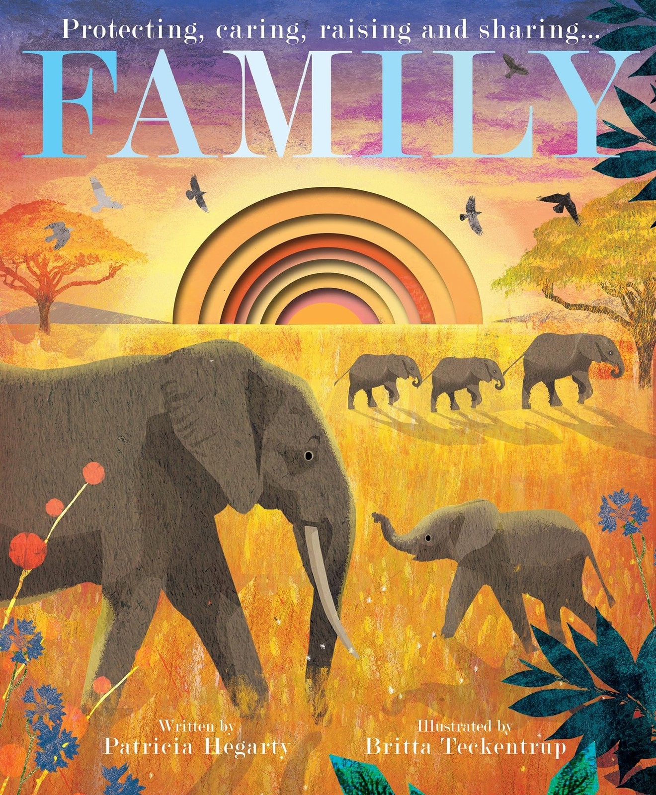 Family by Patricia Hegarty HARDBACK 9781801046992 - Image 5