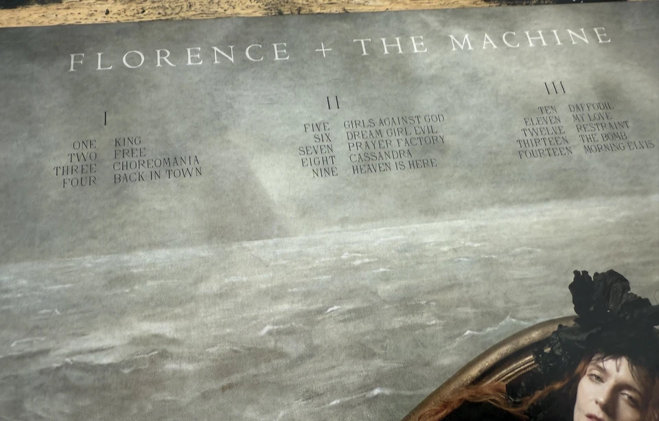 FLORENCE + THE MACHINE-2 LP PICTURE DISC EDITION-Mint - Image 4 of 4