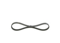 Neu - Bosch 1987946010 Keilrippenriemen FüR Chevrolet Daewoo Ford Mitsubishi