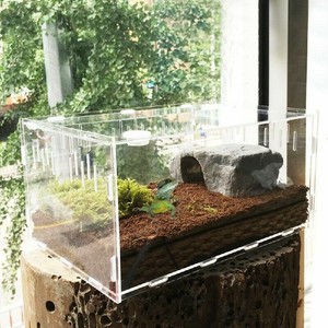 reptile lizard insets gecko terrarium acrylic tank pet clear