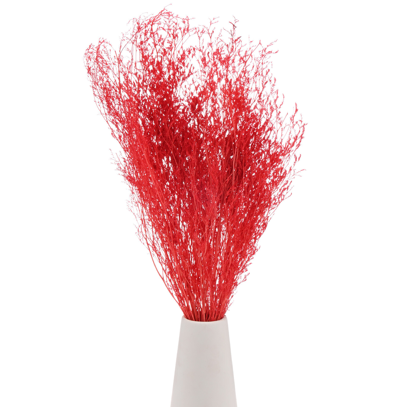 Dried Flowers Bouquet 17