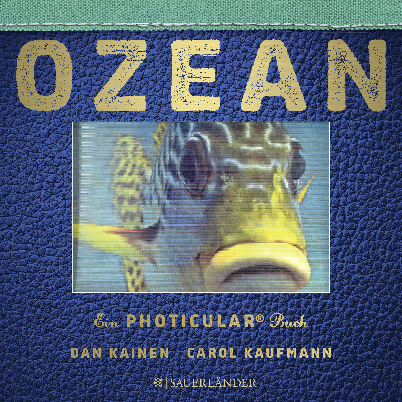 Thumbnail - Dan Kainen; Carol Kaufmann; Cornelia Panzacchi / Ozean