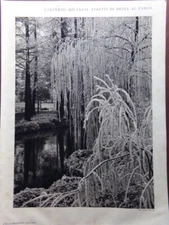1929 Milanese Winter Print: Frost Effects at the Park