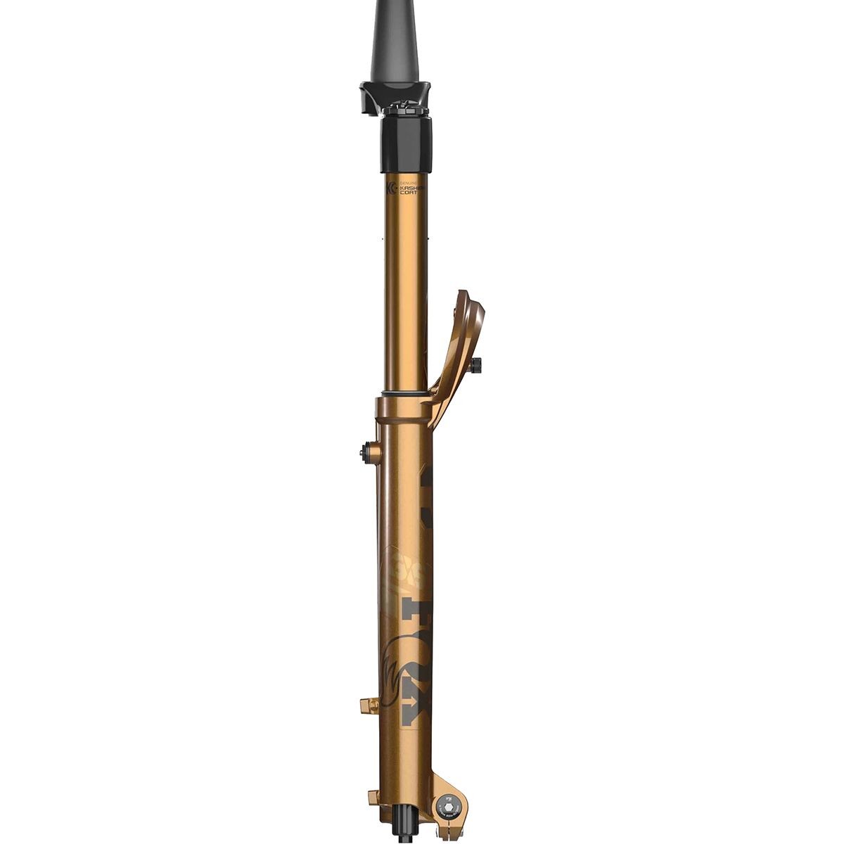 FOX Racing Shox 36 Float 29in Factory Grip X Fork - Limited