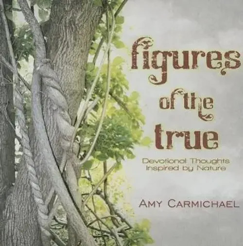 Figures Of The True | Amy Carmichael | Englisch | Taschenbuch | 2011-image