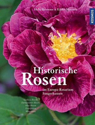 Hella Brumme Historische Rosen