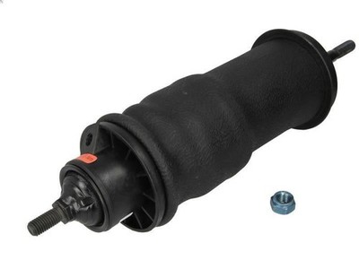 Shock, cab bearing Monroe CB0172 for Scania T 11.705 2004-2005