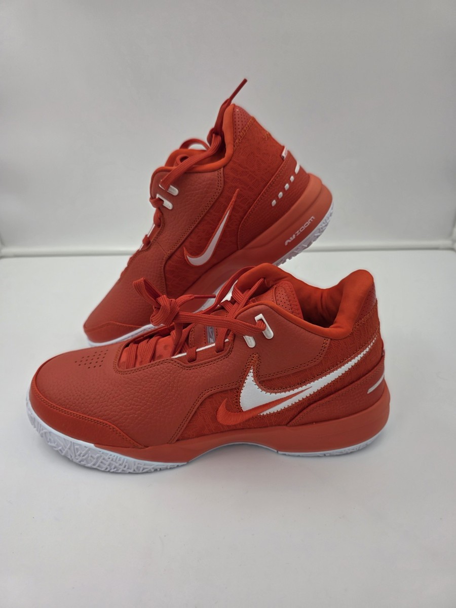 Men's 10.5 Nike Zoom LeBron NXXT Gen TB Basketball Shoes