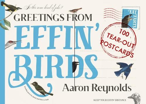 Поздравления Аарону Рейнольдсу от Effin Birds (открытки) (ИМПОРТ из Великобритании)